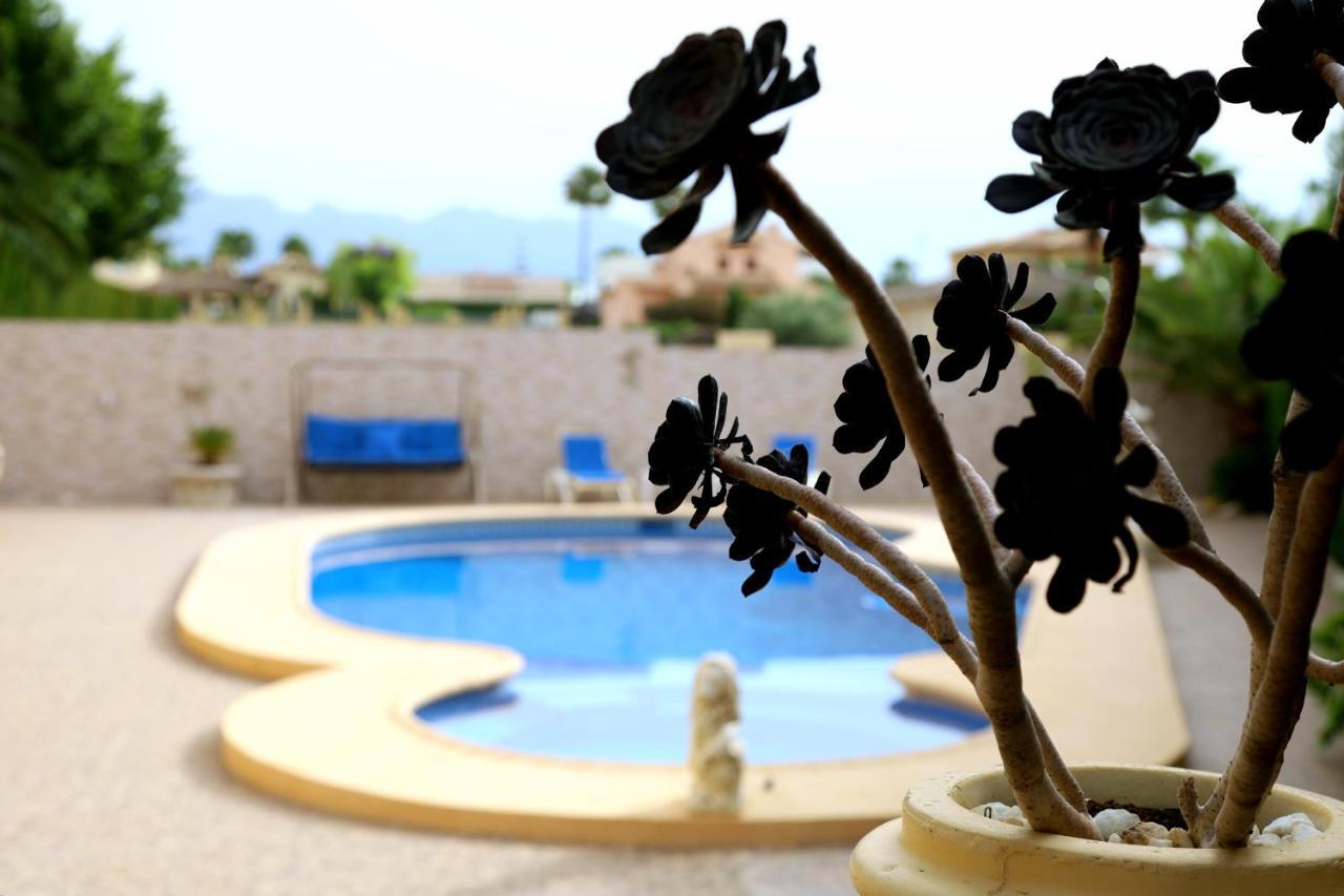 Villa Tres Palmeras muy cerca de Albir y Benidorm L'Alfas del Pi Exterior foto