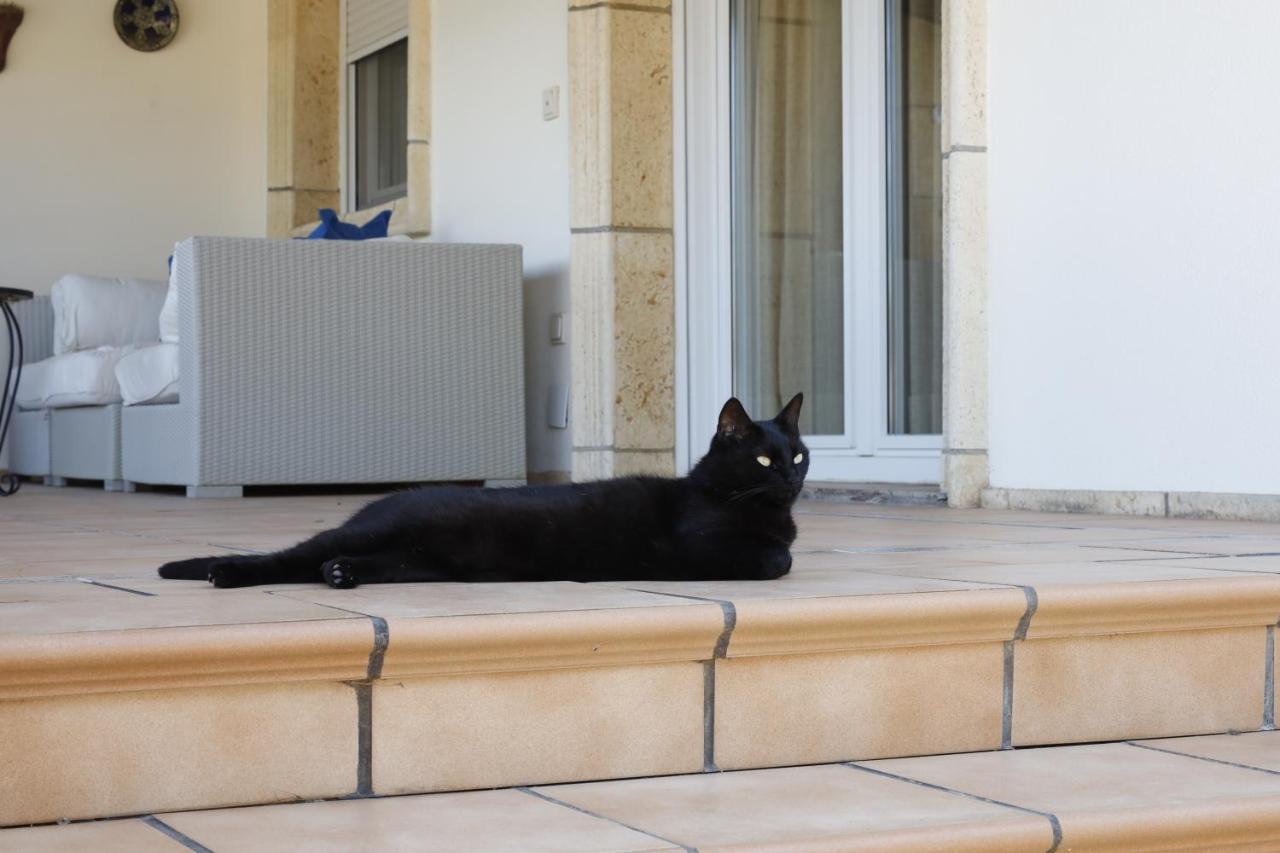 Villa Tres Palmeras muy cerca de Albir y Benidorm L'Alfas del Pi Exterior foto